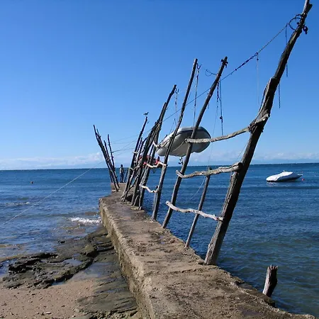 Volta *